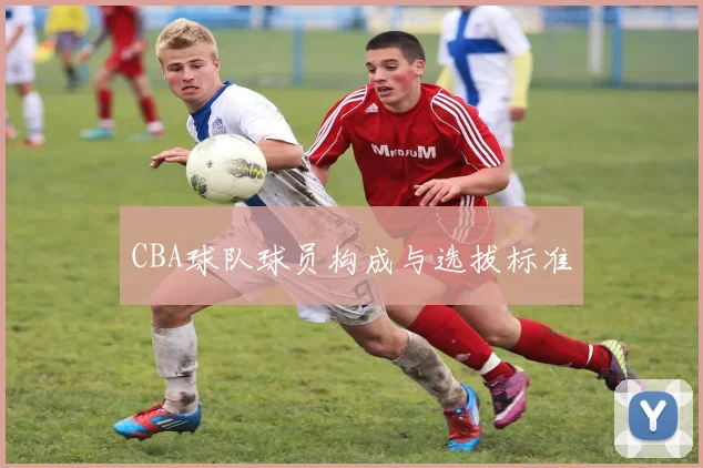 CBA球队球员构成与选拔标准
