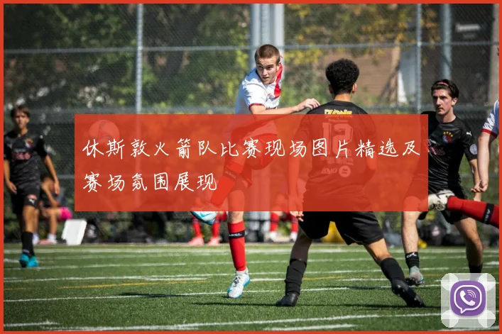 休斯敦火箭队比赛现场图片精选及赛场氛围展现