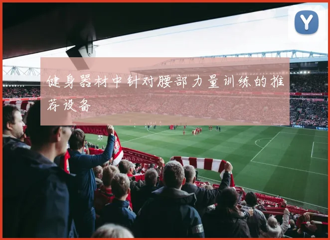 健身器材中针对腰部力量训练的推荐设备