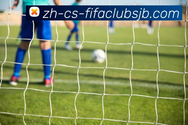 世界杯赛程服务体系